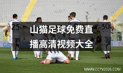 山猫足球免费直播高清视频大全