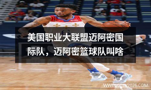 美国职业大联盟迈阿密国际队，迈阿密篮球队叫啥