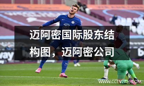 迈阿密国际股东结构图，迈阿密公司