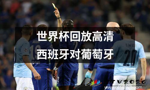 世界杯回放高清西班牙对葡萄牙