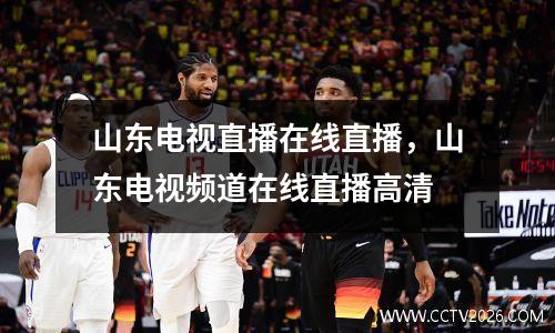 山东电视直播在线直播，山东电视频道在线直播高清