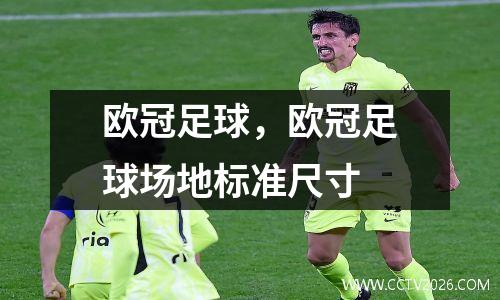欧冠足球，欧冠足球场地标准尺寸