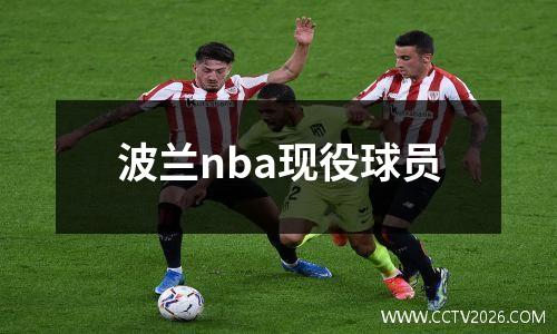 波兰nba现役球员