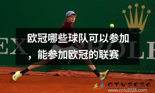 欧冠哪些球队可以参加，能参加欧冠的联赛