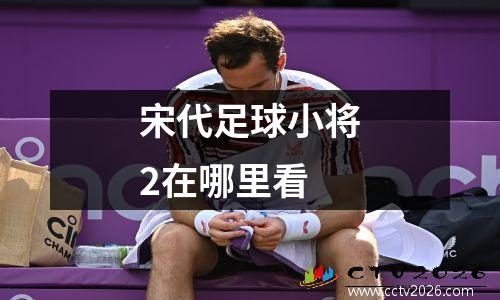 宋代足球小将2在哪里看