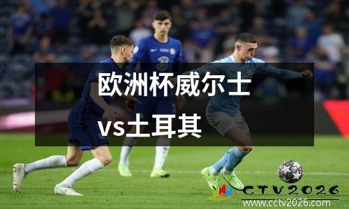 欧洲杯威尔士vs土耳其
