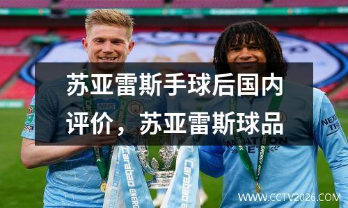 苏亚雷斯手球后国内评价，苏亚雷斯球品