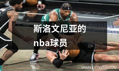 斯洛文尼亚的nba球员