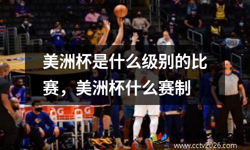 美洲杯是什么级别的比赛，美洲杯什么赛制