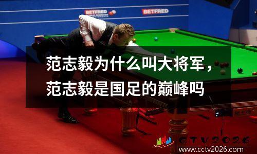 范志毅为什么叫大将军，范志毅是国足的巅峰吗