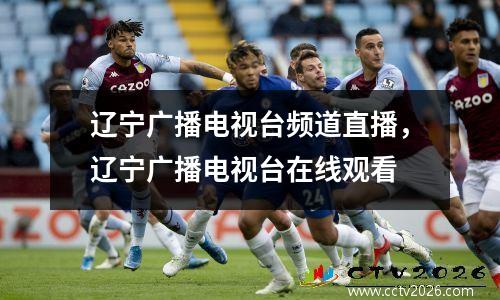辽宁广播电视台频道直播，辽宁广播电视台在线观看