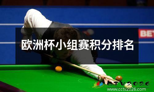 欧洲杯小组赛积分排名