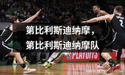 第比利斯迪纳摩，第比利斯迪纳摩队
