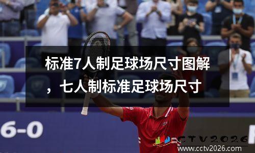 标准7人制足球场尺寸图解，七人制标准足球场尺寸