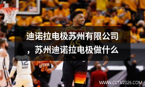 迪诺拉电极苏州有限公司，苏州迪诺拉电极做什么