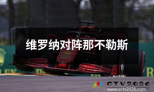 维罗纳对阵那不勒斯