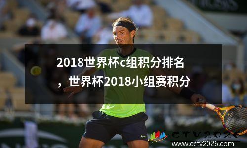 2018世界杯c组积分排名，世界杯2018小组赛积分