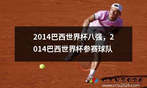 2014巴西世界杯八强，2014巴西世界杯参赛球队