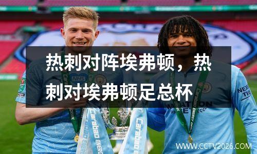 热刺对阵埃弗顿，热刺对埃弗顿足总杯
