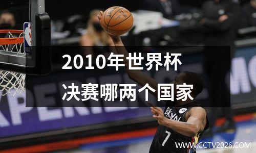 2010年世界杯决赛哪两个国家