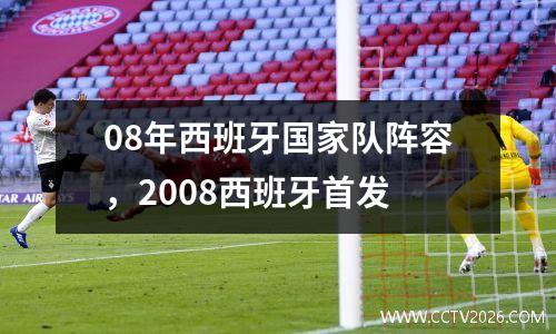 08年西班牙国家队阵容，2008西班牙首发