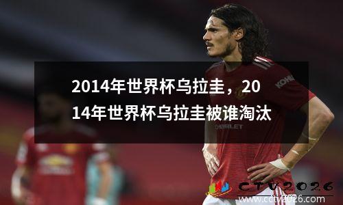 2014年世界杯乌拉圭，2014年世界杯乌拉圭被谁淘汰