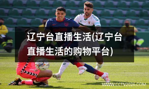辽宁台直播生活(辽宁台直播生活的购物平台)