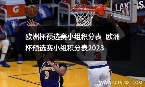 欧洲杯预选赛小组积分表_欧洲杯预选赛小组积分表2023