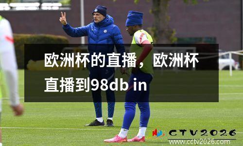 欧洲杯的直播，欧洲杯直播到98db in