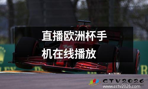 直播欧洲杯手机在线播放