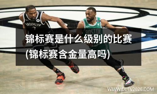 锦标赛是什么级别的比赛(锦标赛含金量高吗)