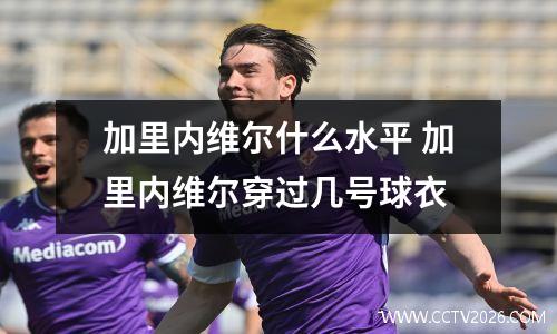 加里内维尔什么水平 加里内维尔穿过几号球衣