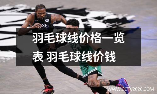 羽毛球线价格一览表 羽毛球线价钱