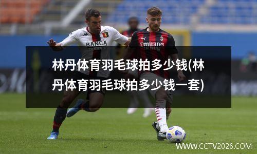 林丹体育羽毛球拍多少钱(林丹体育羽毛球拍多少钱一套)