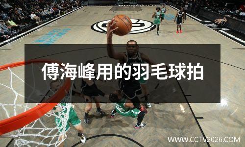 傅海峰用的羽毛球拍