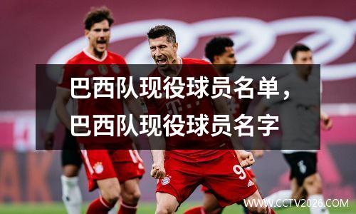 巴西队现役球员名单，巴西队现役球员名字