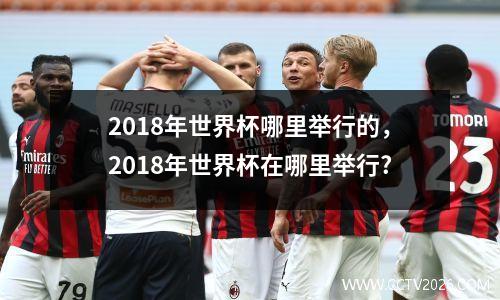 2018年世界杯哪里举行的，2018年世界杯在哪里举行?