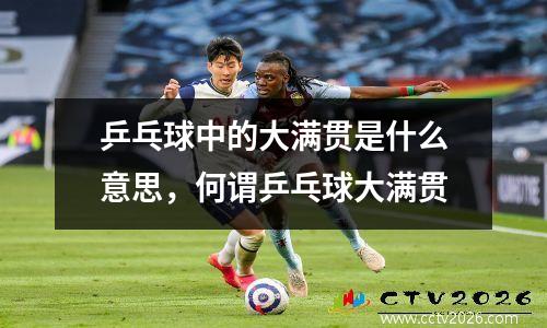 乒乓球中的大满贯是什么意思，何谓乒乓球大满贯