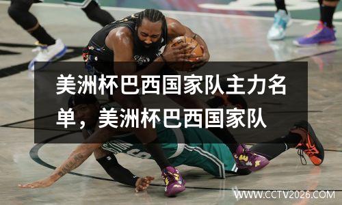 美洲杯巴西国家队主力名单，美洲杯巴西国家队