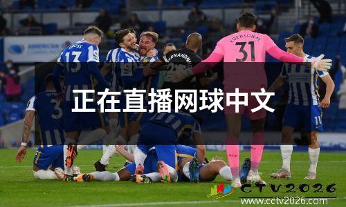 正在直播网球中文