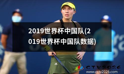 2019世界杯中国队(2019世界杯中国队数据)