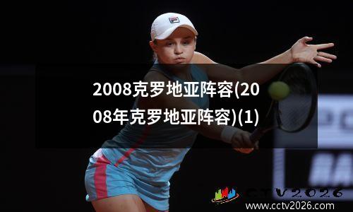 2008克罗地亚阵容(2008年克罗地亚阵容)(1)