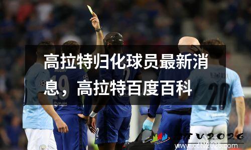 高拉特归化球员最新消息，高拉特百度百科