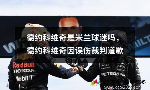 德约科维奇是米兰球迷吗，德约科维奇因误伤裁判道歉