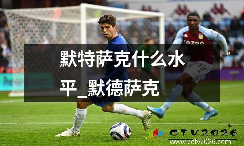 默特萨克什么水平_默德萨克