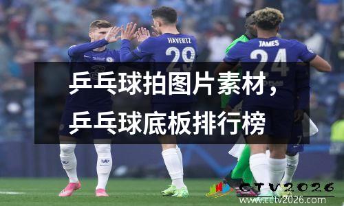 乒乓球拍图片素材，乒乓球底板排行榜