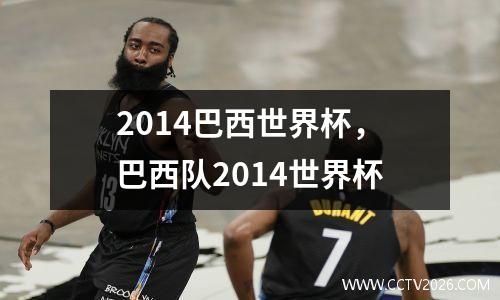 2014巴西世界杯，巴西队2014世界杯