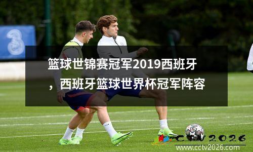 篮球世锦赛冠军2019西班牙，西班牙篮球世界杯冠军阵容