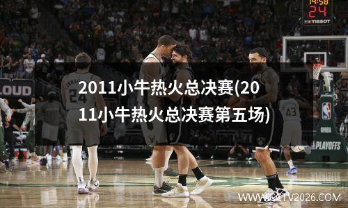 2011小牛热火总决赛(2011小牛热火总决赛第五场)