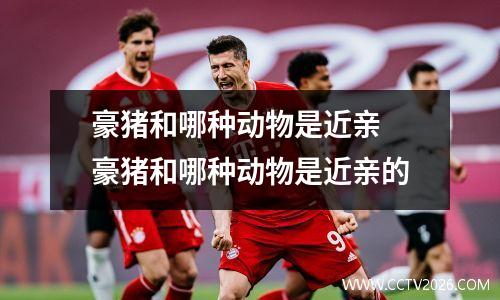 豪猪和哪种动物是近亲 豪猪和哪种动物是近亲的